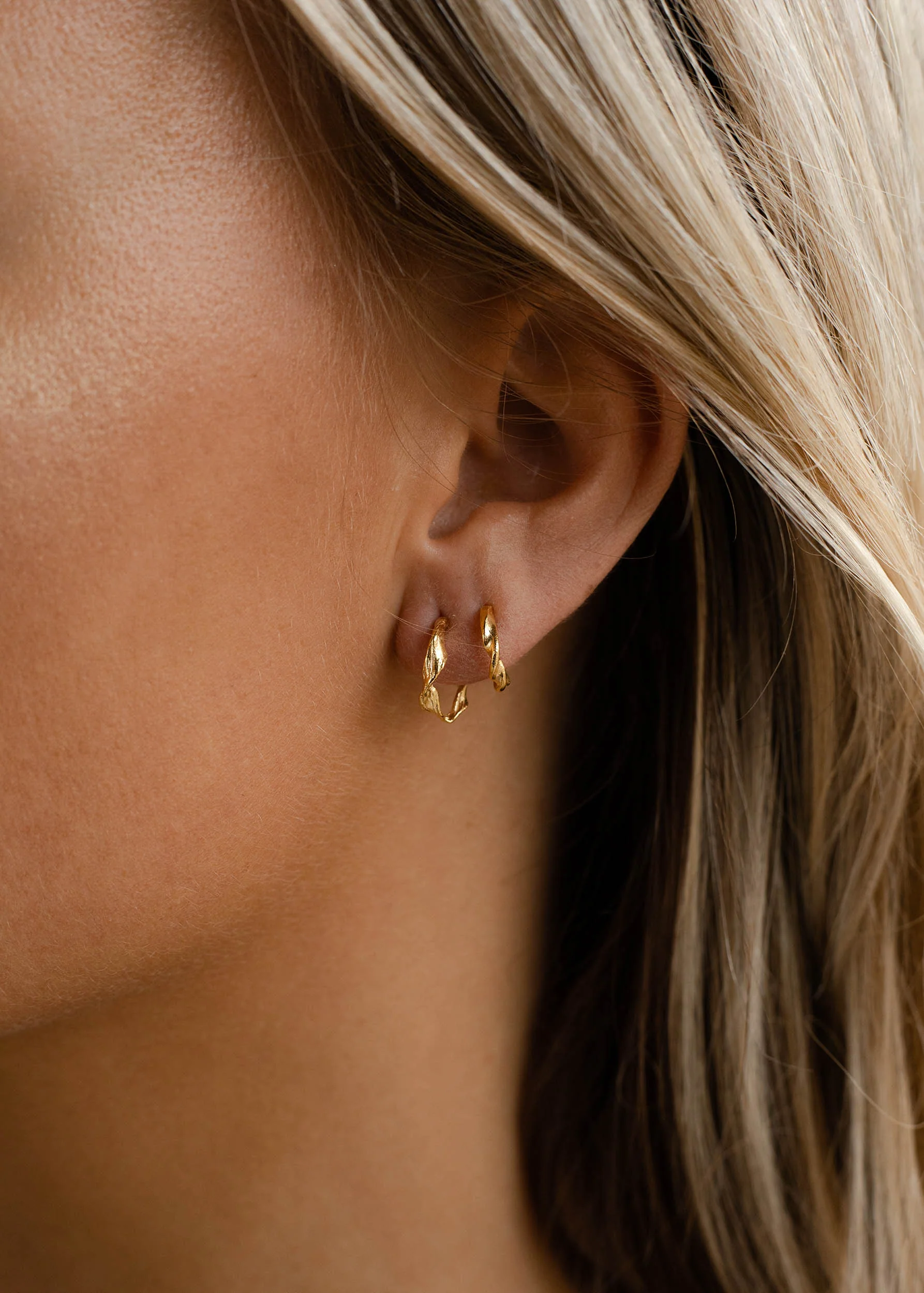 Carrie Hoops - Image 6