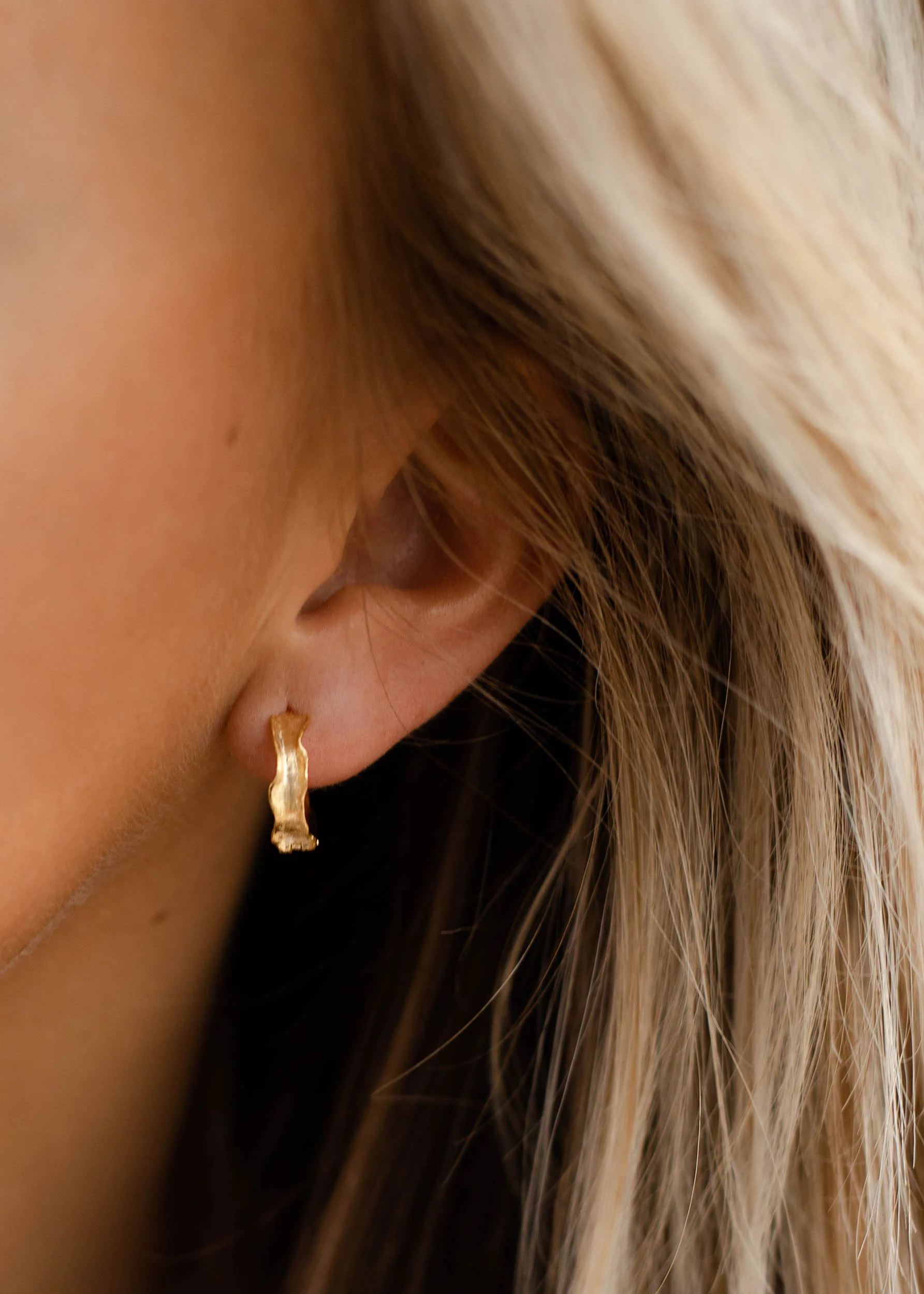 Lauren Hoops - Image 4