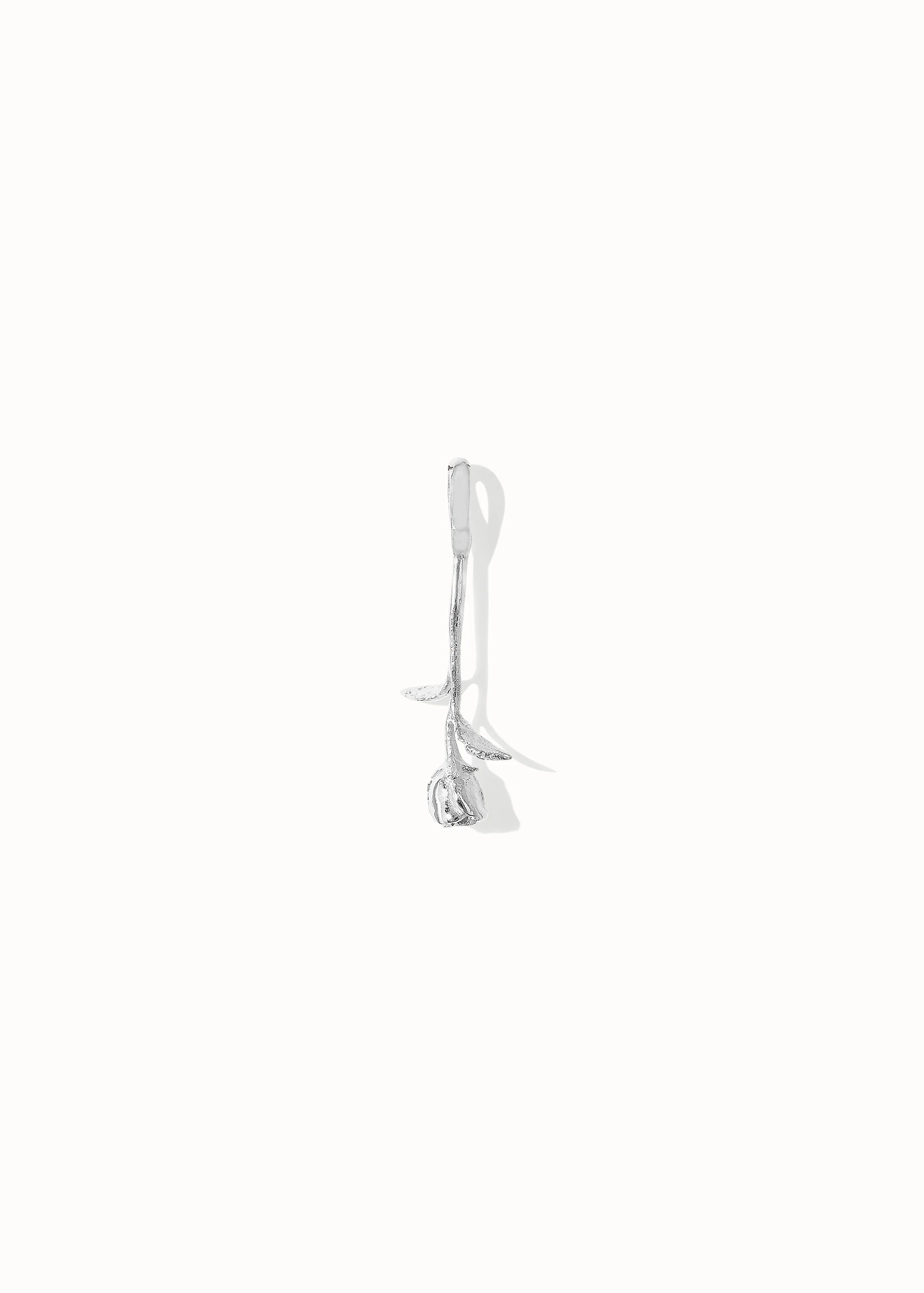 Rosa Charm - Image 3